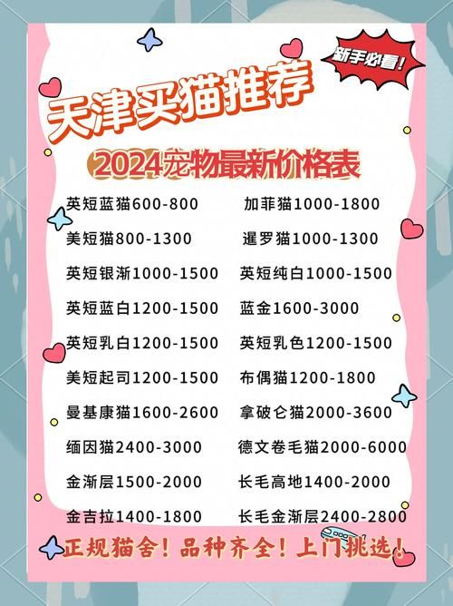 snoopy猫价格贵不贵 购买渠道和饲养成本