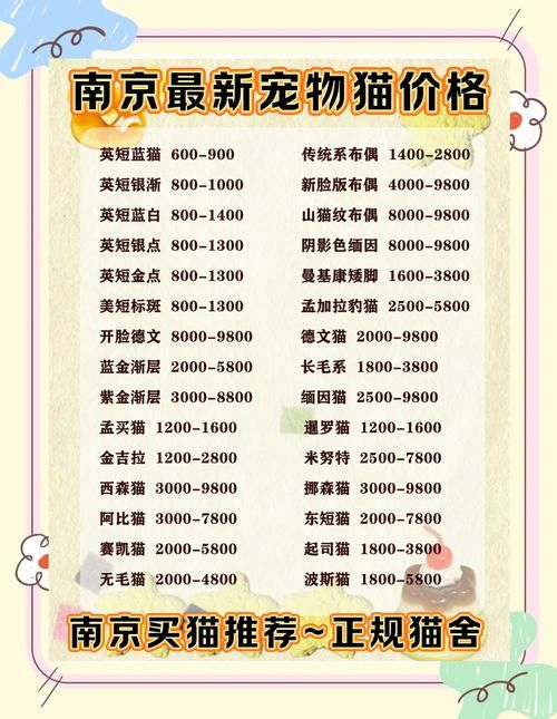snoopy猫价格贵不贵 购买渠道和饲养成本