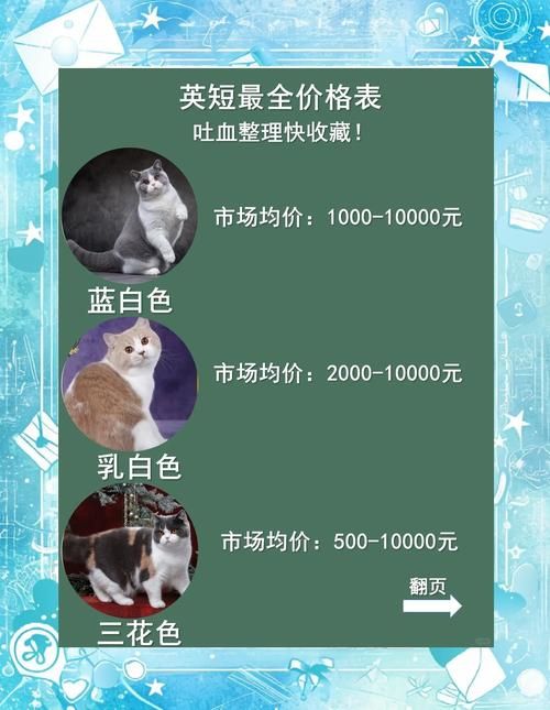 snoopy猫价格贵不贵 购买渠道和饲养成本