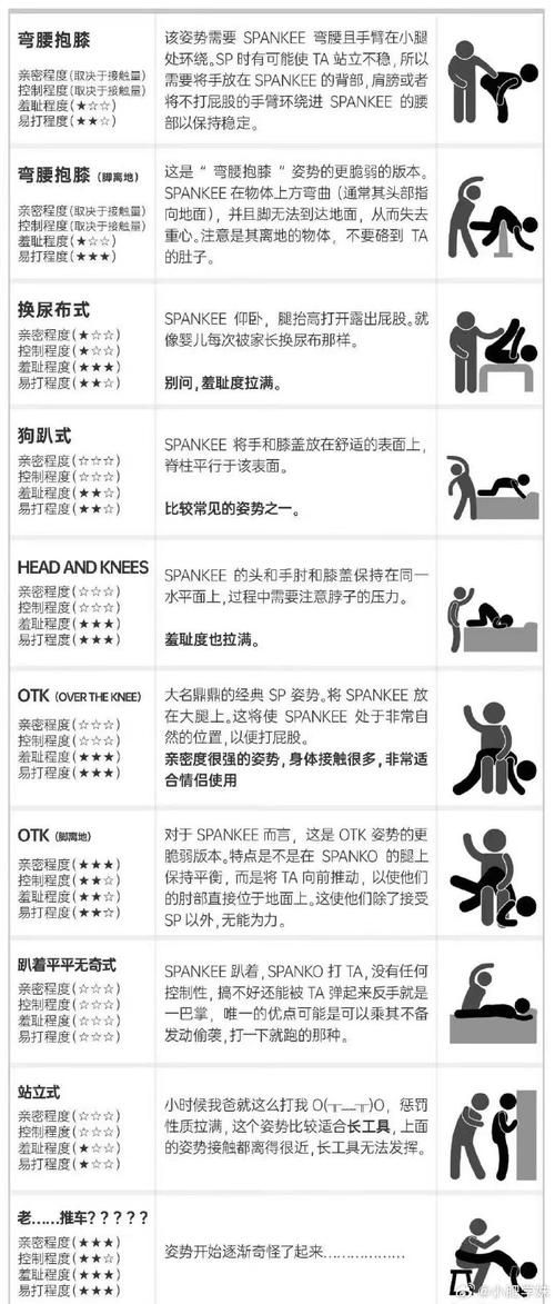 sp版本是什么意思sp版本适合哪些人使用