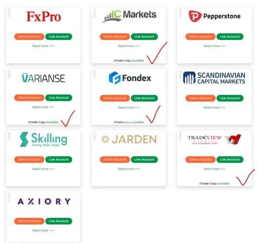 TRADEROOM是什么新手必看的交易平台入门指南