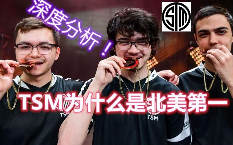 tsm是哪个国家的 详细解析TSM的国籍背景