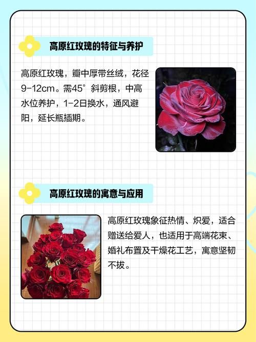 vk3601h重坦优缺点分析 值不值得花时间练这条线