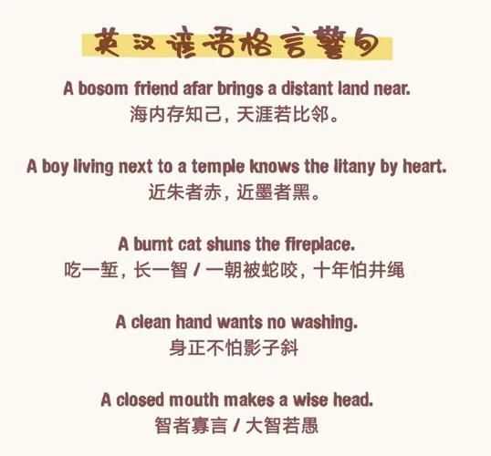 wikiquote怎么用 wikiquote名人名言查询方法详解