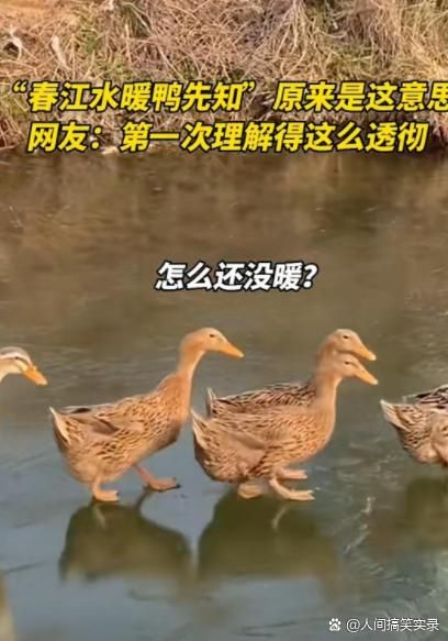 wow伤害数字变大的原因 原来是这么回事