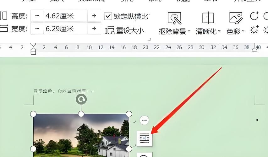 wps怎么整页复制 简单几步完成页面复制
