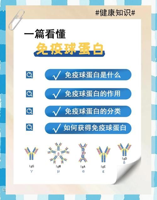 yy白豌豆有什么用 揭秘它的神奇功效与作用