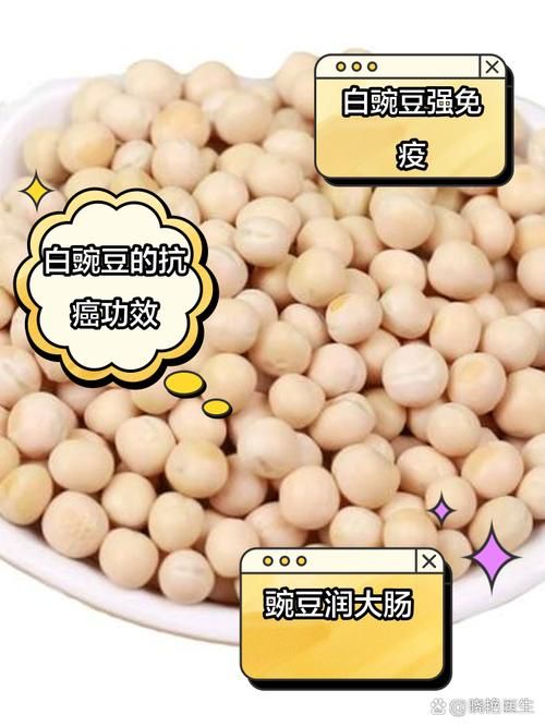 yy白豌豆有什么用 揭秘它的神奇功效与作用