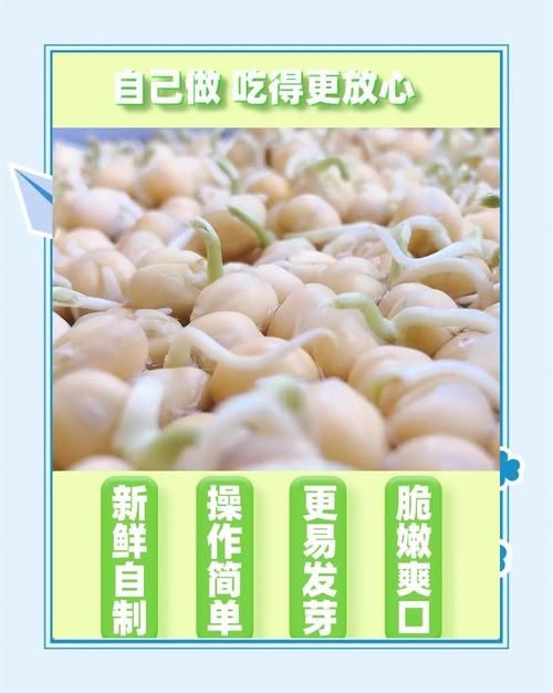 yy白豌豆有什么用 揭秘它的神奇功效与作用