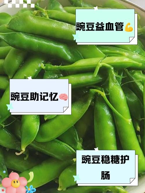 yy白豌豆有什么用 揭秘它的神奇功效与作用