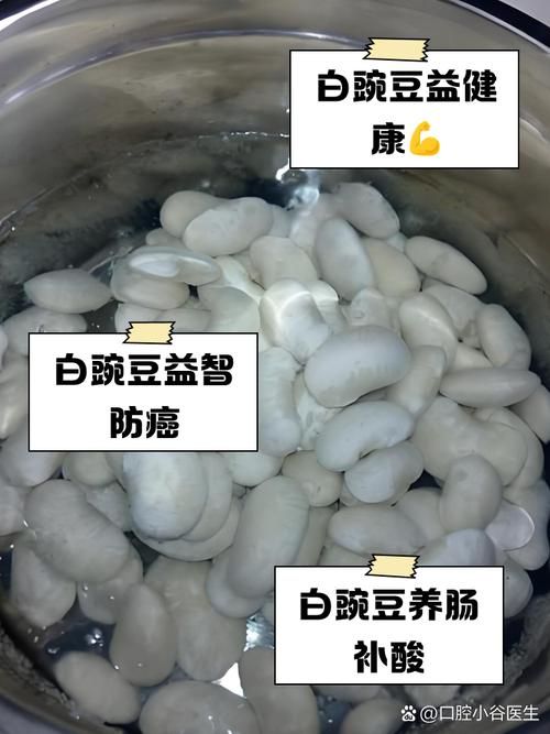 yy白豌豆有什么用 揭秘它的神奇功效与作用