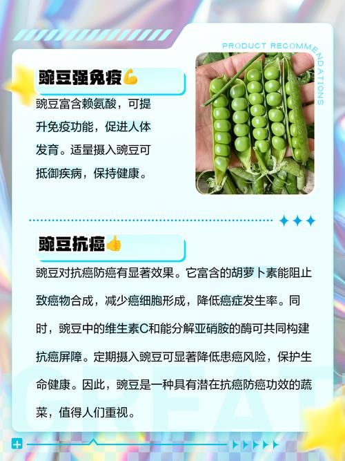 yy白豌豆有什么用 揭秘它的神奇功效与作用