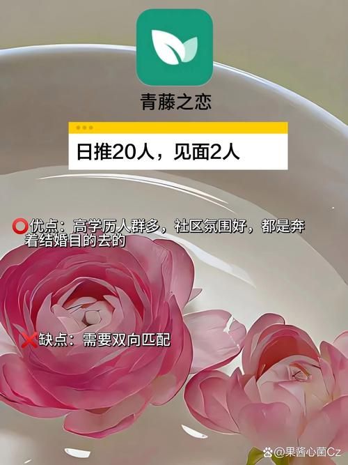 zing chat用户评价 看看大家怎么说这款聊天软件