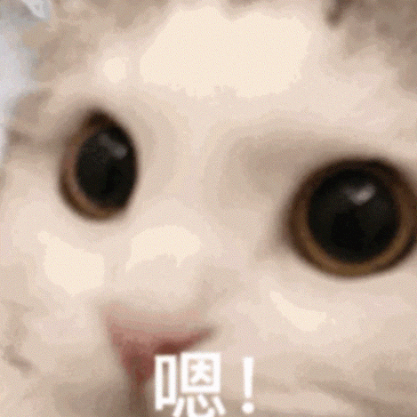 一排小猫点头的动图萌翻了网友快来收藏