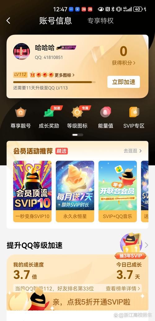 一键查询qq等级排行榜轻松查看好友排名