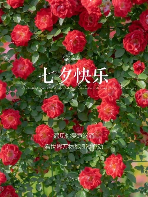 七夕快乐图片大全打包下载 适合发朋友圈的精选图集