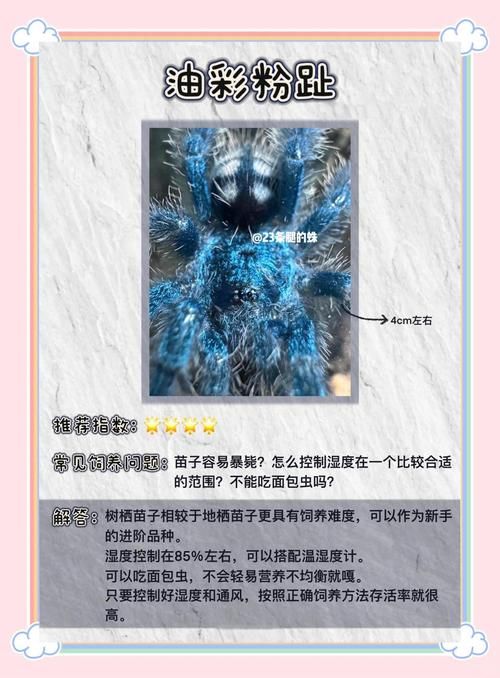 七日杀无限蜘蛛攻略 轻松应对蜘蛛潮的5个技巧