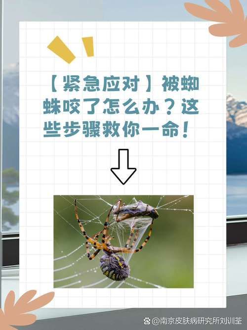 七日杀无限蜘蛛攻略 轻松应对蜘蛛潮的5个技巧