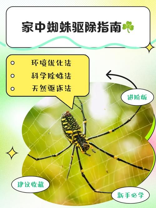 七日杀无限蜘蛛攻略 轻松应对蜘蛛潮的5个技巧