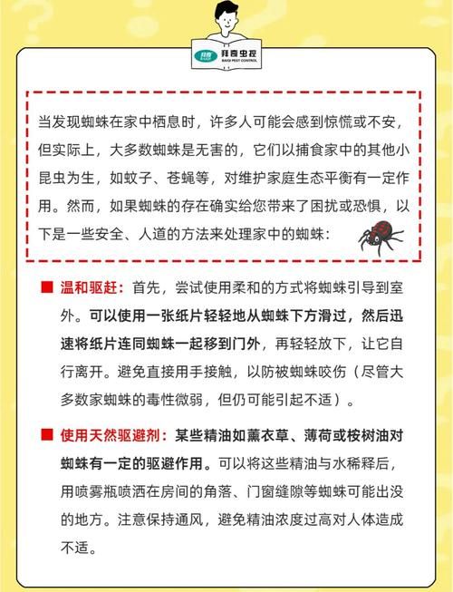 七日杀无限蜘蛛攻略 轻松应对蜘蛛潮的5个技巧