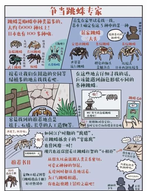 七日杀无限蜘蛛攻略 轻松应对蜘蛛潮的5个技巧