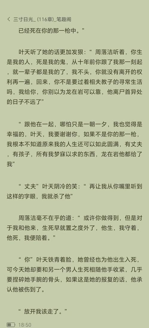 三寸日光步步惊心主题曲背后的故事与情感解读