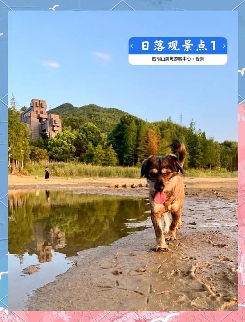 三生石鬼枫林路线图详解带你轻松找到最佳观赏点