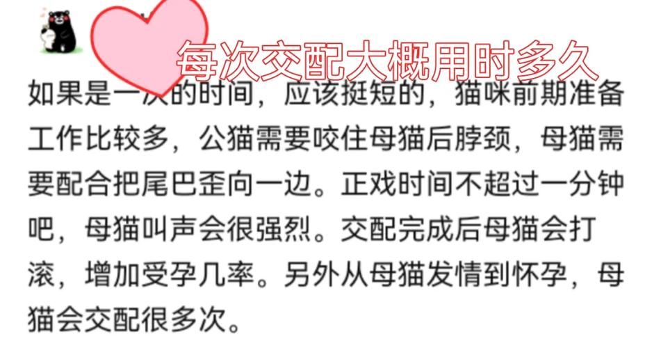 上海汽车站网上订票常见问题 解答你的疑惑