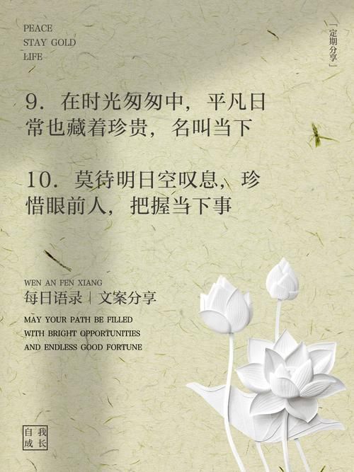 且行且珍惜前一句完整版 这才是原话的出处
