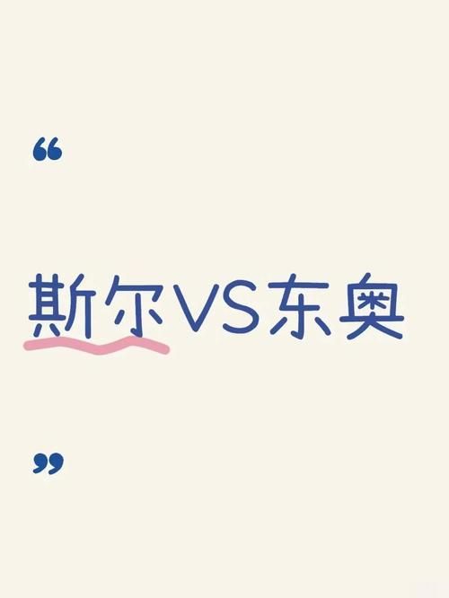东奥中华斯尔哪个好 两者对比分析帮你选