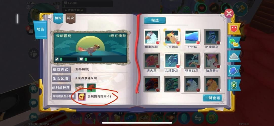 创造与魔法云斑鹦鸟和什么宠物搭配 最强组合推荐