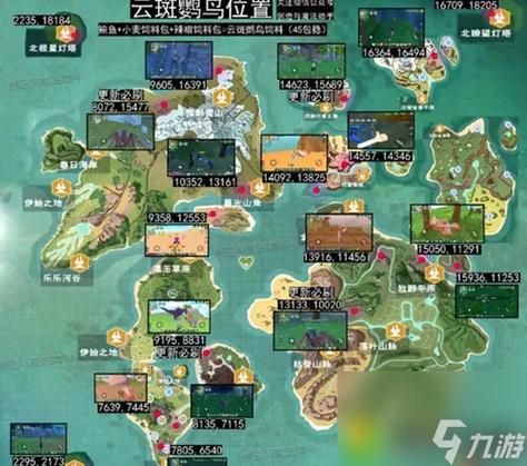 创造与魔法云斑鹦鸟和什么宠物搭配 最强组合推荐