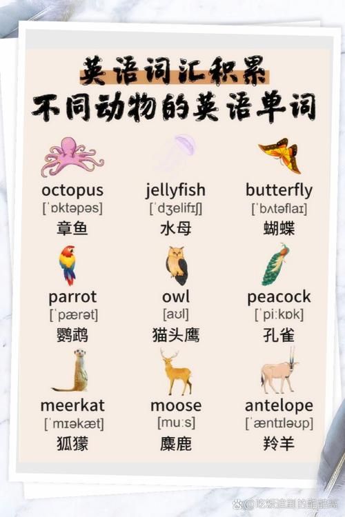 动物英文单词全系列 教你准确发音和拼写动物英文