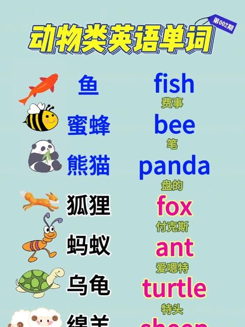 动物英文单词全系列 教你准确发音和拼写动物英文