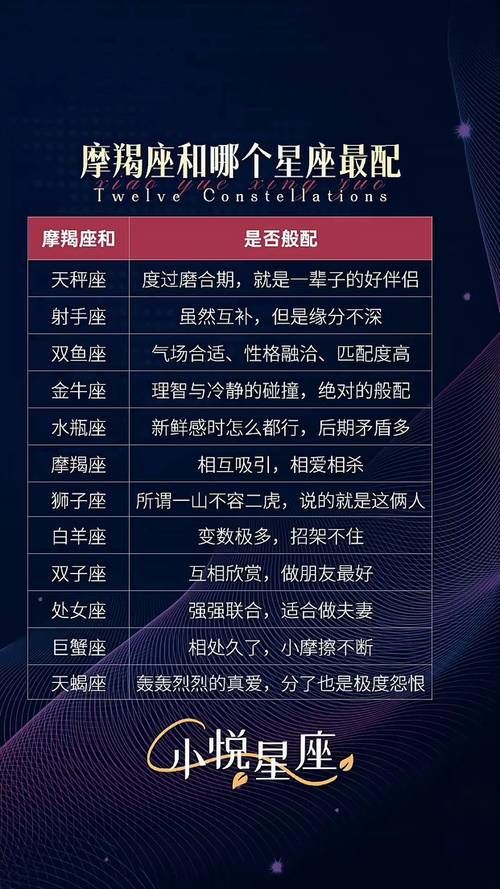 十二星座配对武魂指南哪个星座最适合你
