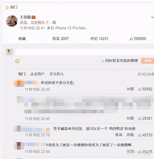 半藏森林回应王思聪评论说了什么