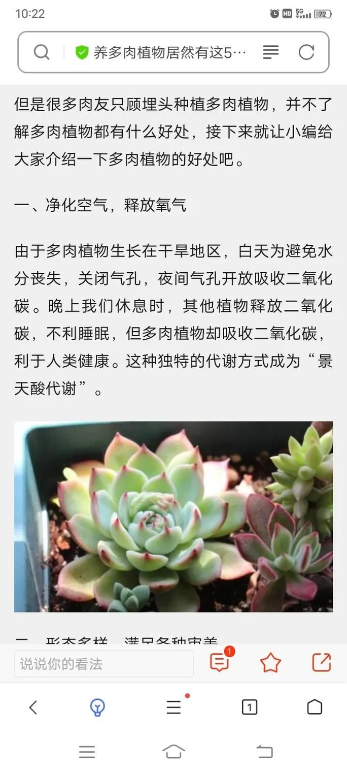 华丽的曲玉有什么用 原来它能带来这么多好处