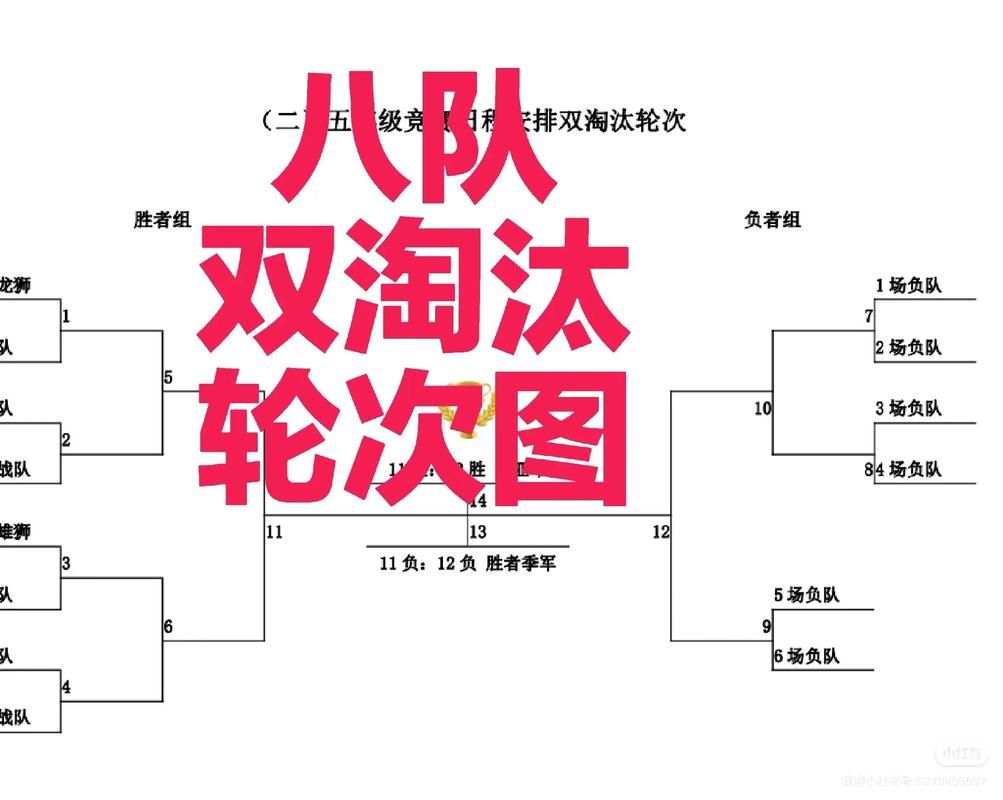 双败赛制是什么意思新手必看的比赛规则解析