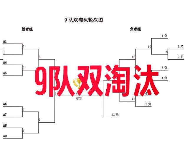 双败赛制是什么意思新手必看的比赛规则解析