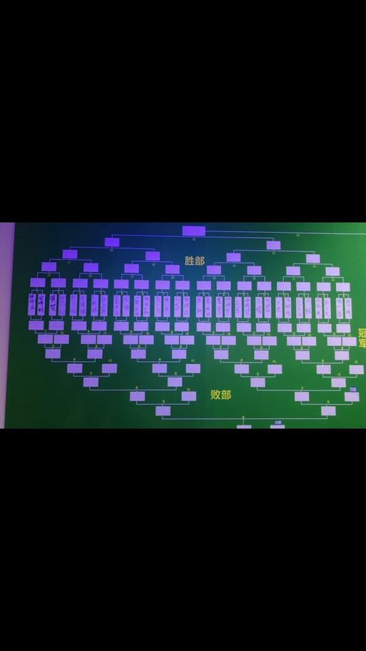 双败赛制是什么意思新手必看的比赛规则解析
