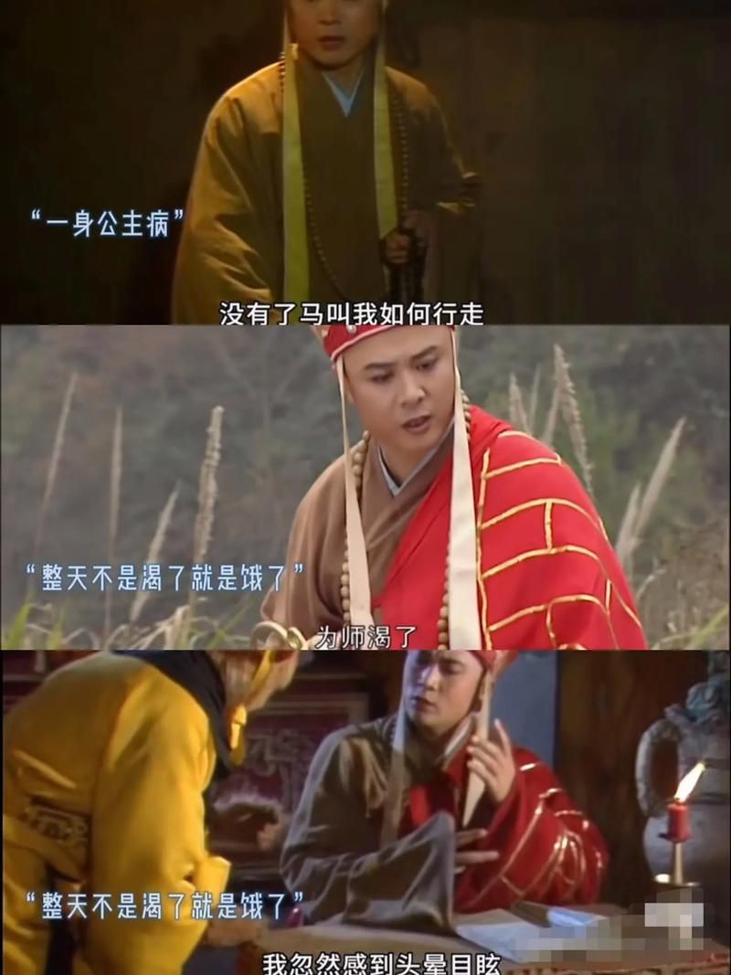 反西游记之混混唐僧：史上最不靠谱的取经团队