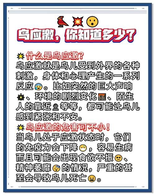 发现小鸟僵脖子装枯草别慌这是正常现象
