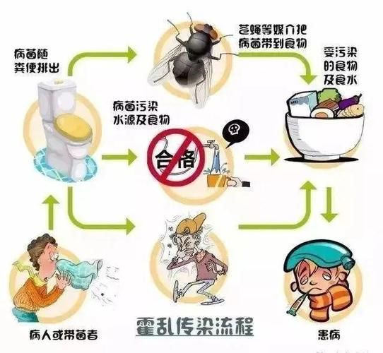 发现霍乱应如何预防这些方法简单又有效