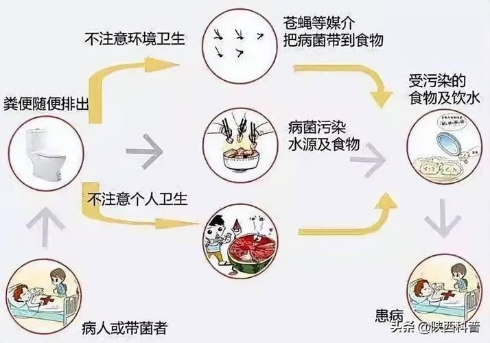 发现霍乱应如何预防这些方法简单又有效