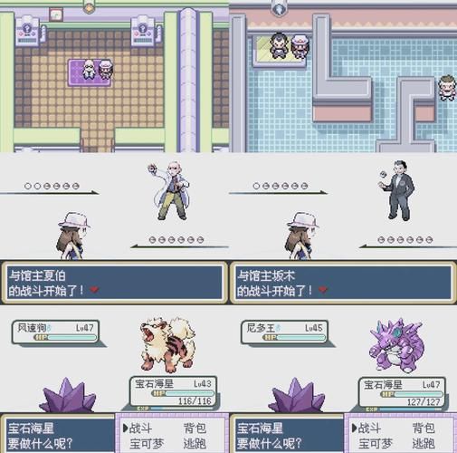 口袋妖怪红宝石图鉴攻略 教你如何完成全图鉴收集