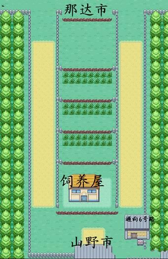 口袋妖怪绿叶版秘籍合集 省钱省力通关小技巧