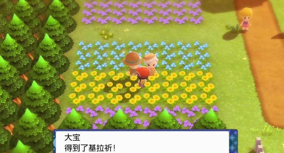 口袋妖怪钻石二周目攻略大全带你轻松通关