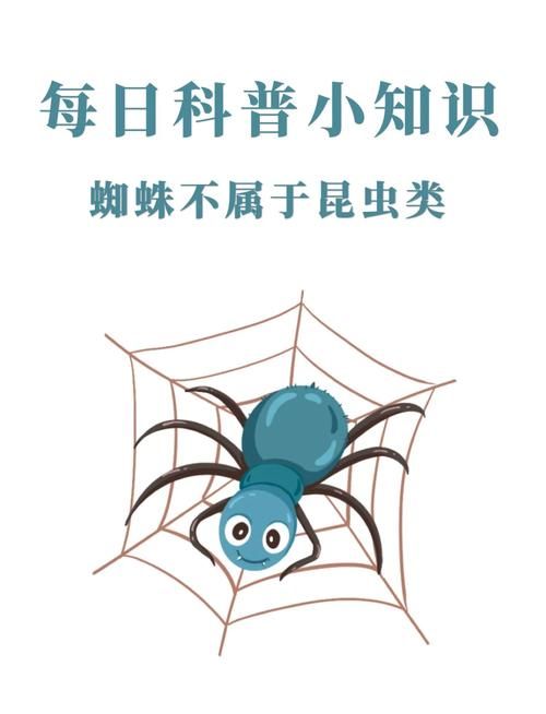 古时七夕节蚂蚁庄园冷知识 蜘蛛竟是吉祥物你信吗