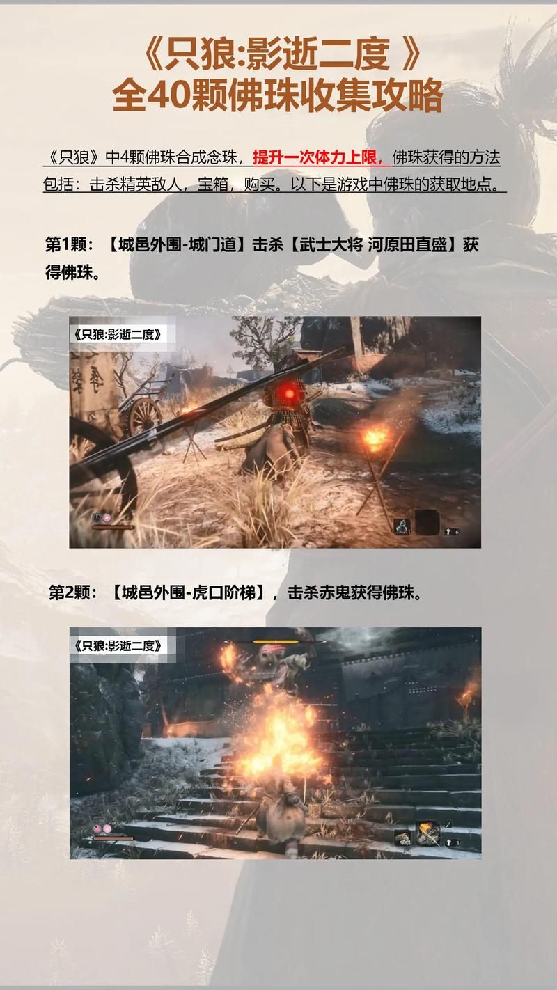 只狼影逝二度多少钱入手划算 购买攻略分享