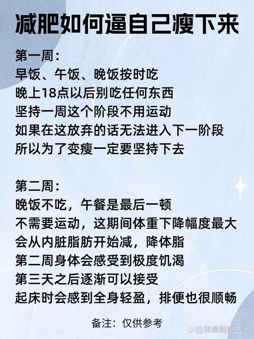 吃饭睡觉打dota的日常安排与时间管理建议